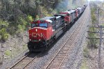 CN 2565, CN 2415 & GTW 4900 